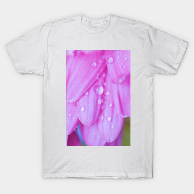 Water droplets on a pink flower T-Shirt by Purrfect